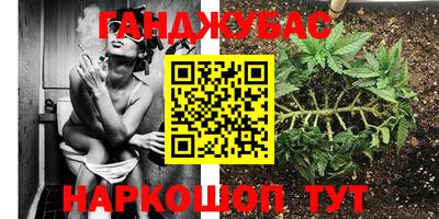 гидра Кимры