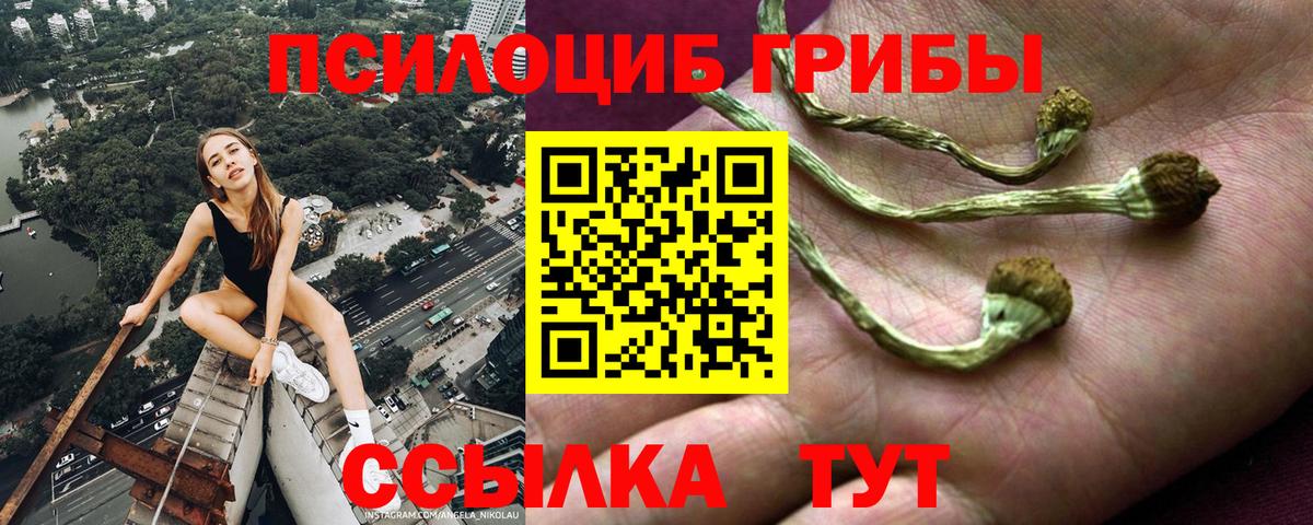 Галлюциногенные грибы Cubensis Алапаевск